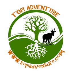 Topi Adventure