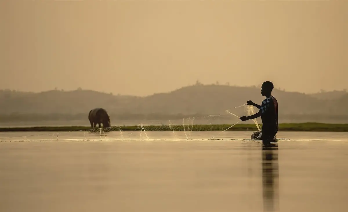Hippo & crocodile