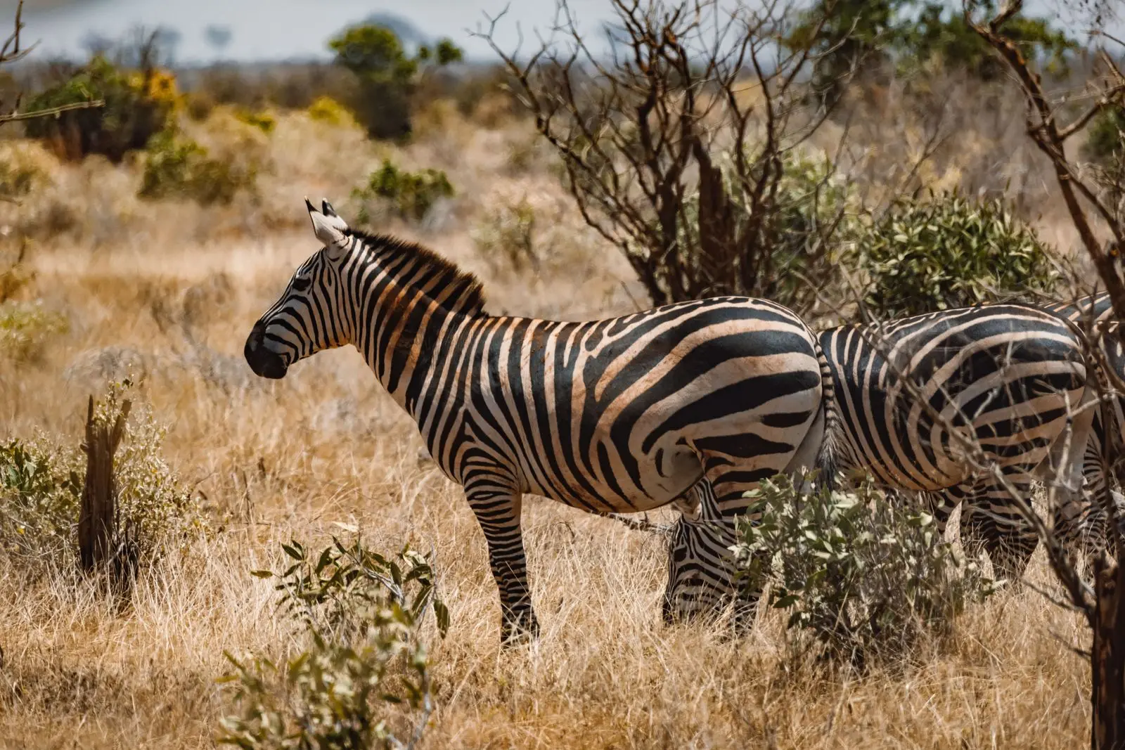 Arusha National Park