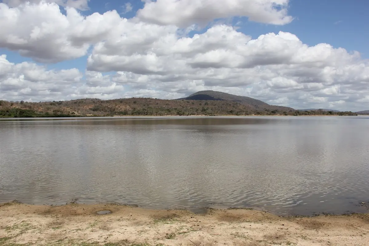 Lakes, wetlands & woodland
