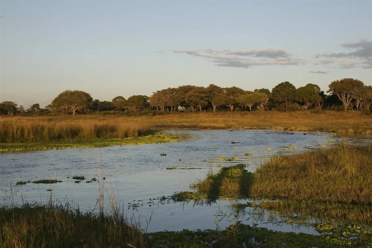 Landscape & geography