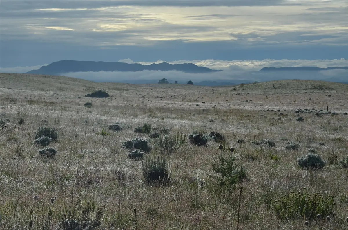Panoramic view of Kitulo Plateau