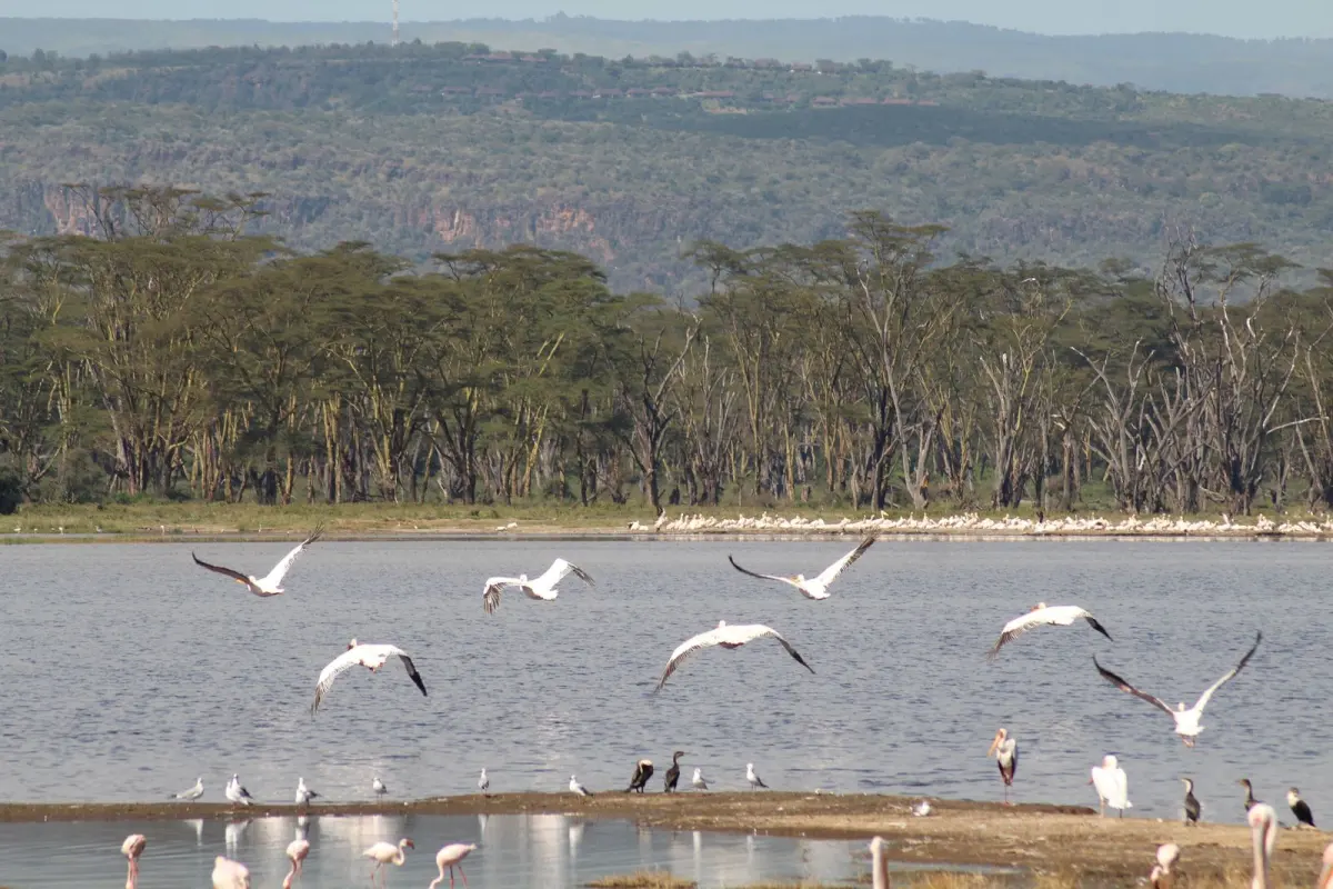 Lake Chala rim hike