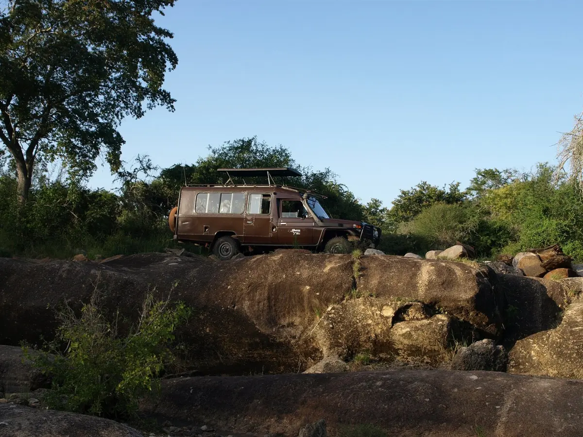 Wildlife of Mkomazi