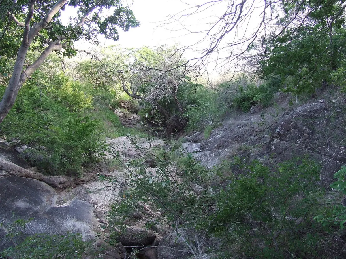 Mkomazi National Park