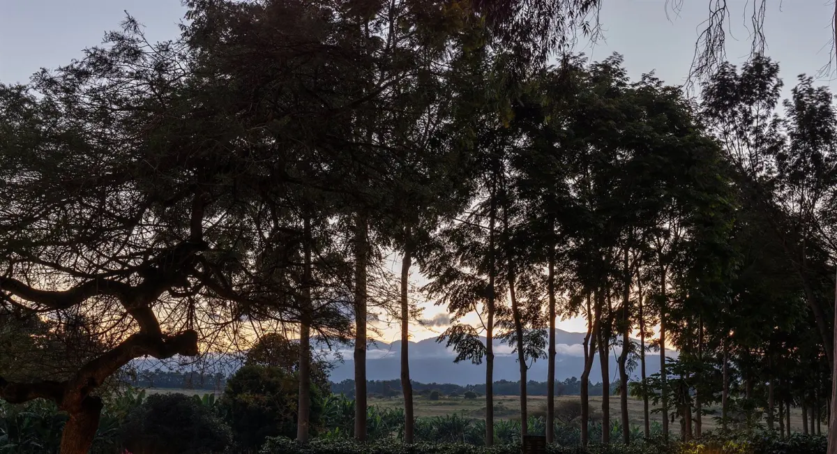 Ngorongoro Conservation Area