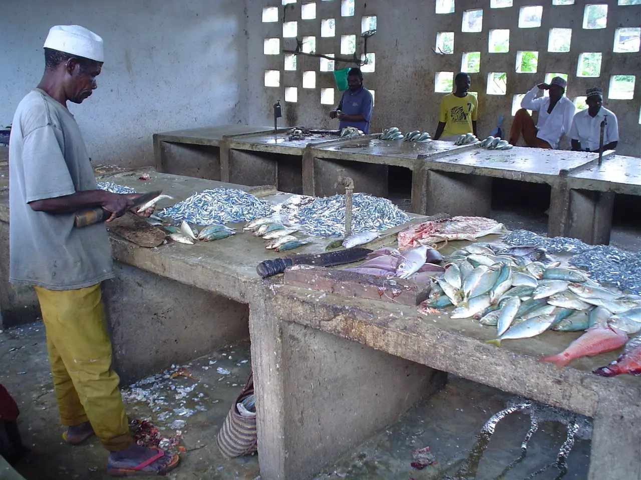 Pemba Island
