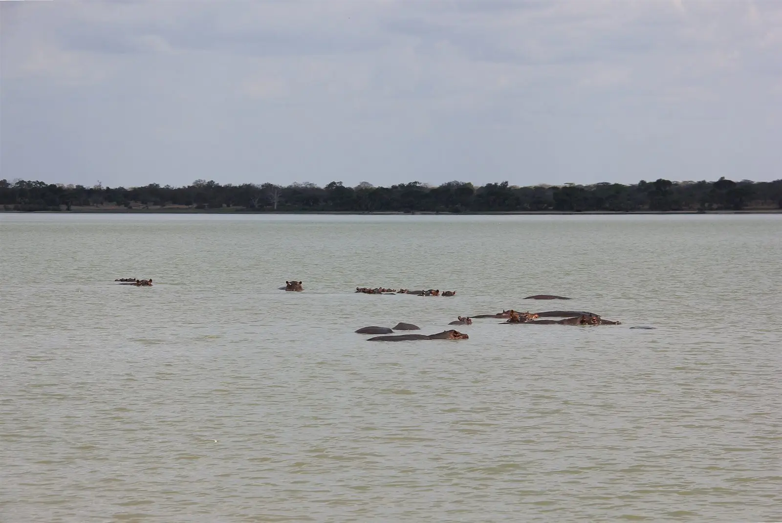 Rumanyika-Karagwe National Park