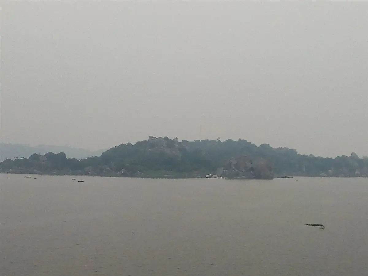 Impala on Saanane Island