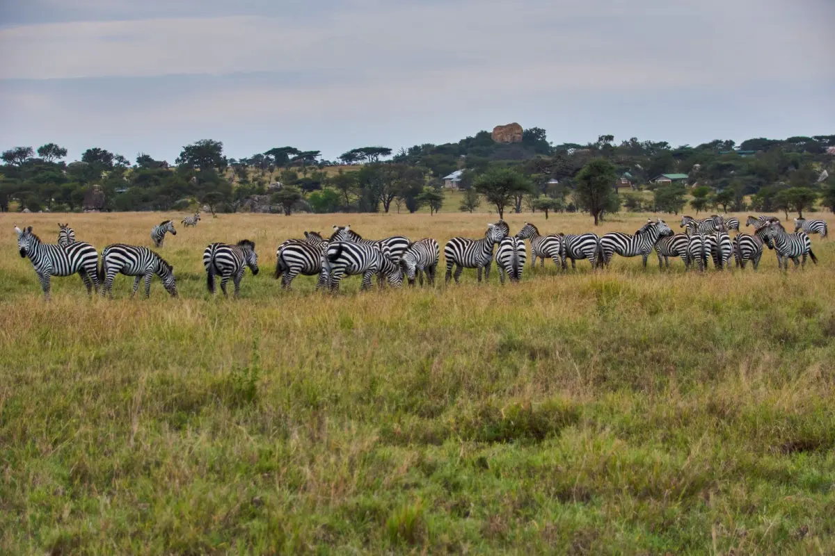 16-Day Tanzania Zanzibar Adventure