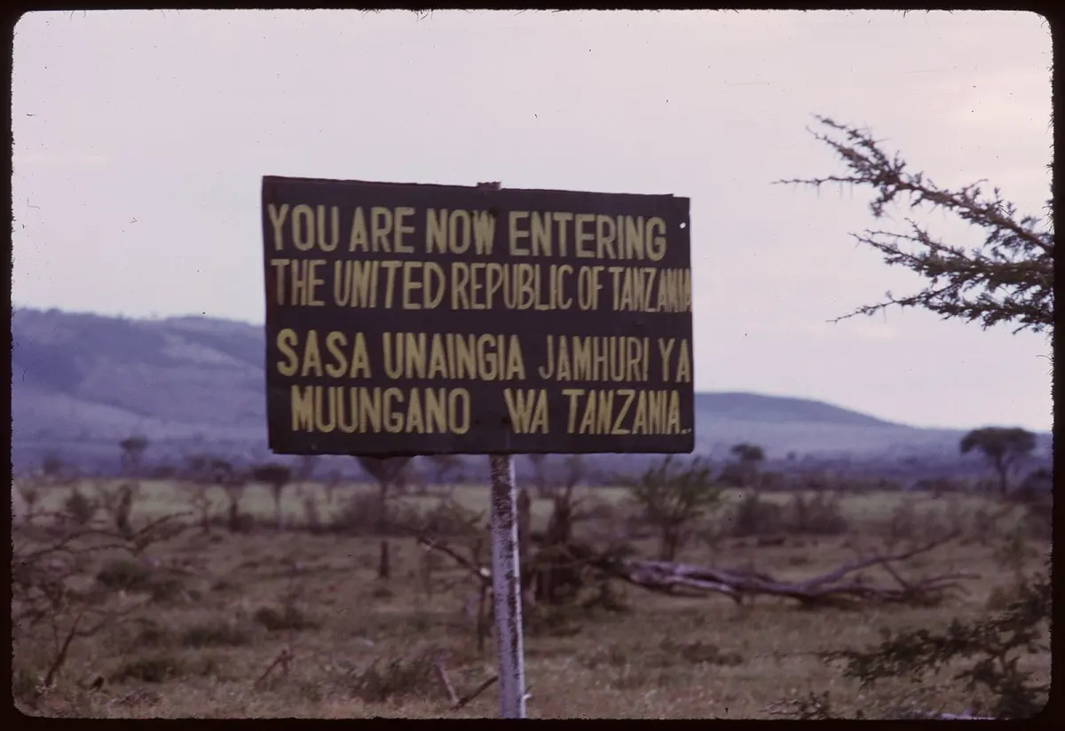 Endless Serengeti plains at golden hour