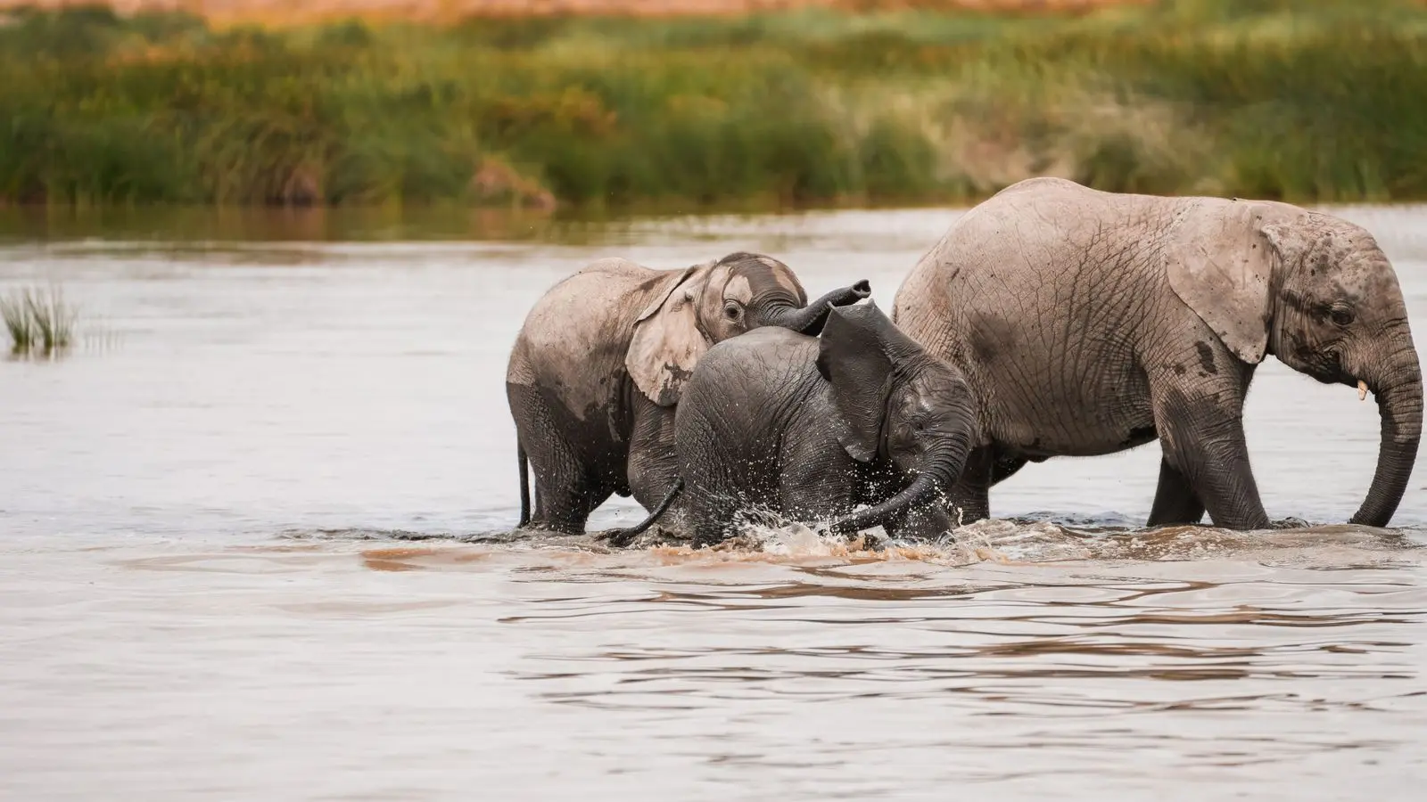 Tarangire National Park