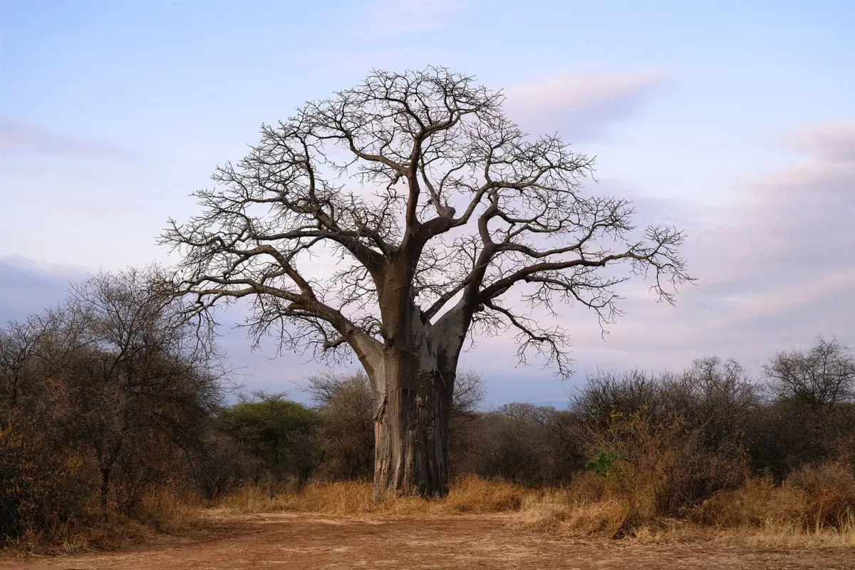 A birdwatcher’s paradise