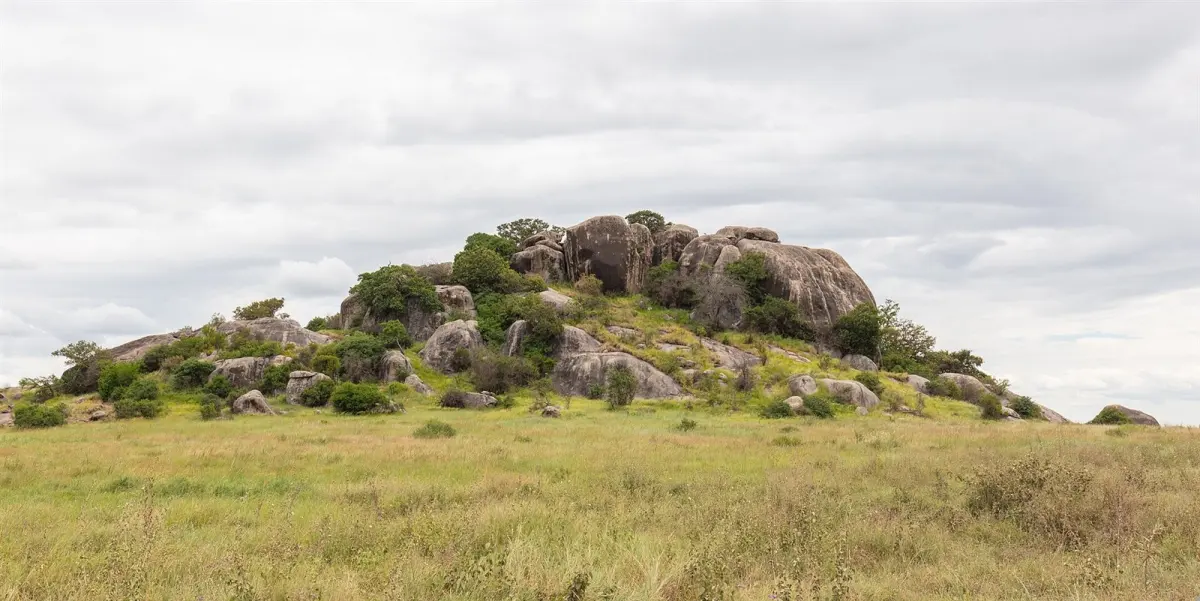 Baobab trees in Tarangire National Park