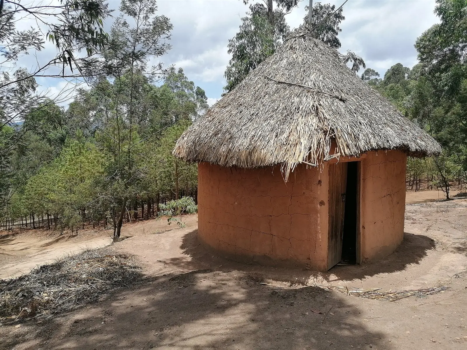 Usambara Mountains