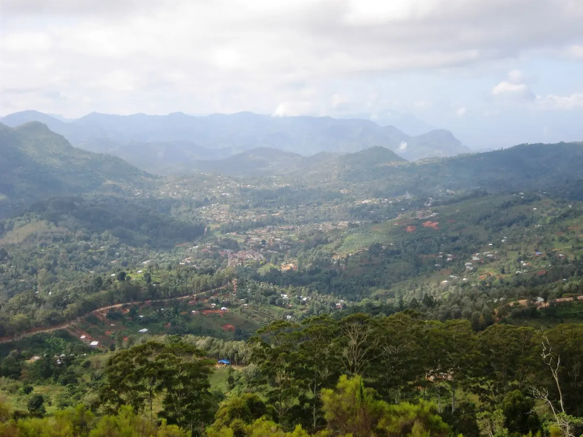 Usambara Mountains