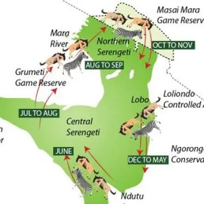 Map of the Great Migration route through the Serengeti