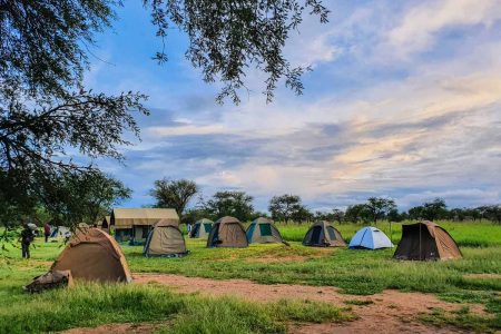 8 Days Budget Camping Cultural Safari