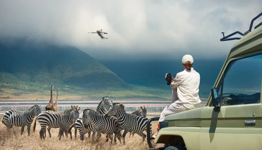 Detailed information on Multi-day Game drive Safari in Tanzania