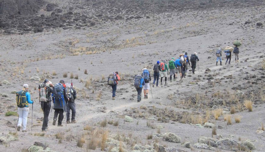 7 Days Kilimanjaro Machame Special Group Joining